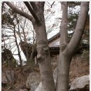 은덕건설(주) | [20100227]북악산 산책길(북악하늘길) 김신조루트를 찾아가는 걷기여행-4부