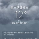 인앤아웃 웨스트 | 🇺🇸 미국 여행- 라스베가스 인앤아웃 버거 엘에이 LA 사우스웨스트 항공 후기