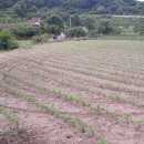 엄정면사무소 이미지