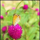 예와생스튜디오카페 이미지