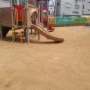 침산초교 병설유치원 이미지