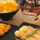 설빙충북