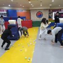 일무관 합기도 | 충주초등학생체력단련 아이사랑일무관합기도 체험기