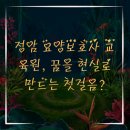 정암 요양보호사교육원 이미지
