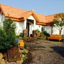 섬집오후 이미지