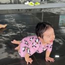바글바글글램핑;바글바글바베큐;카페;촉