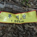샛담 이미지