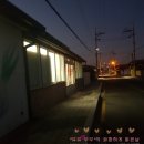 대광당한약국 이미지