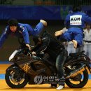 월드유도체육관 이미지