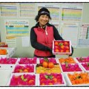 복 농장 이미지