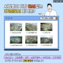 마라톤맨부동산중개사무소 이미지