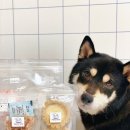 제로네간식타임 이미지