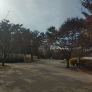 부평공원1 이미지