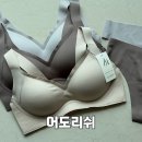 어도 | 여성 노와이어 심리스 브라 텐션업 볼륨 내돈내산후기, 어도리쉬