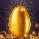 촌장: [ONE 그리고 은행들의 시작] 2025.11.14.금 이미지