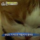 똘이네시장