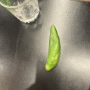 부추삼겹살 딱이야 이미지