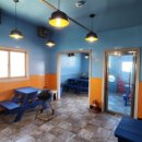 벨라루나 이미지