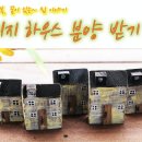 꿈을주는집