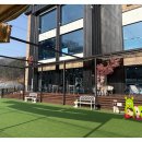 루이애견 이미지