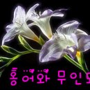 봉서3리 티스토리