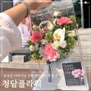 음성 꽃집 추천 청담플라워 2026년 어버이날 선물: 달항아리 카네이션 내돈내산 후기