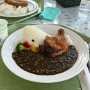 롯데스파랜드 | [나고야] 현지놀이공원 나가시마스파랜드 후기(사카에 교통편, 놀이기구, 온천)