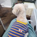 다이아몽 이미지