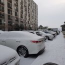 부강목장 이미지