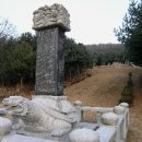 송산조견선생묘 이미지