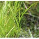 옥풍환경 이미지