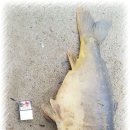 거두리낚시터 이미지