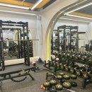 모션업피티 이미지