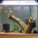 유목농장 이미지