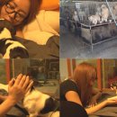 와와농장 이미지