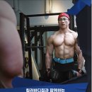 킬러바디짐 이미지