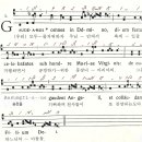[영광의 신비 4단] 그미 262 Gaudeamus omnes (성모 승천 대축일 입당송) 이미지
