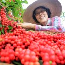 이영철농장 이미지