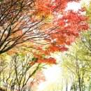 호수공원_희망의동산 이미지