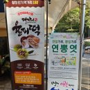 팔만대장경 | ◈팔만 대장경을 보관하고 있는 사찰 합천 가야산 '해인사' 방문 후기, 주차장, 관람시간 안내◈
