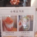 토끼를따라간앨리스 이미지