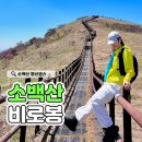 용화면 공중화장실 | 5월 초 소백산 비로봉 등산코스 어의곡코스 후기