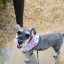 선린의원 이미지