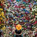 씨네호텔 이미지