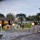 등뼈감자탕&등갈비 이미지