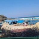 초도항 성게조형물 이미지