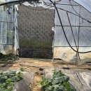 조정농장 이미지