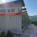 고내농장 이미지