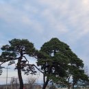 어단1리 이미지