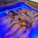 알프하우스 | 코타키나발루 맛집 추천 분위기 좋은 선셋바 알프레스코 Alfresco